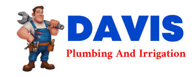 Trusted plumber in DAVISVILLE